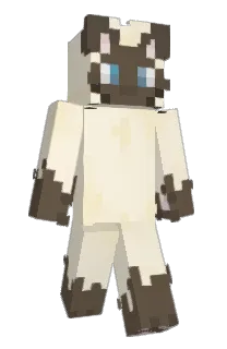 Front of ivrry's skin