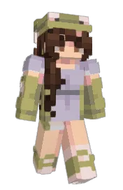 Skin preview