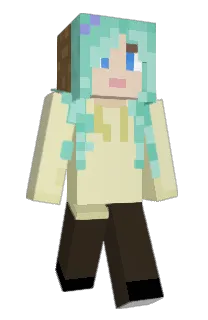 Front of texsh's skin