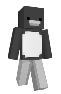 Front of Metooss's skin