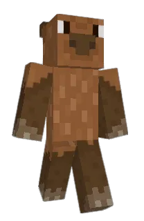 Front of karprincho's skin