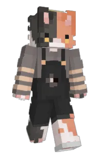 Front of zDXr_'s skin