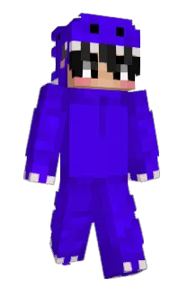 Front of plokye's skin