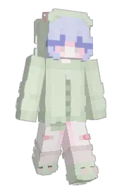 Skin preview
