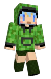 Skin preview