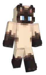 bobblebink's Minecraft skin wearing the Founder's cape