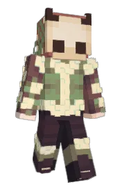 Skin preview