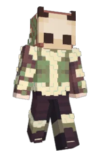 Front of Minecraft skin
