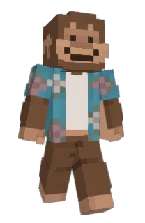Notsander's Minecraft skin