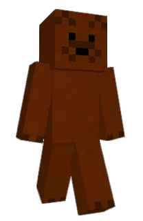 Front of figlz's skin