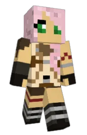 Skin preview