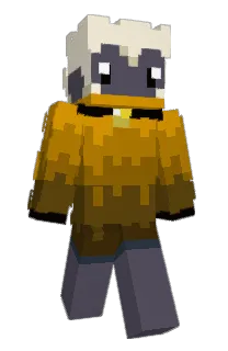 Front of Elsmid's skin