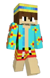Skin preview