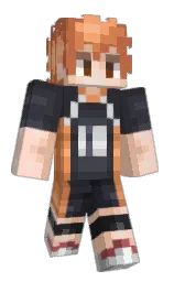 Simekjae's Minecraft skin wearing the Migrator cape