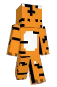 Bobcats79