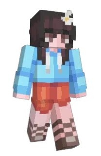 shutupimclever's Minecraft skin