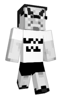 Front of Checkit2's skin