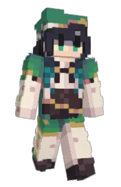 Skin preview