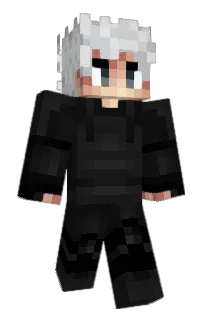 Front of Ninja's skin