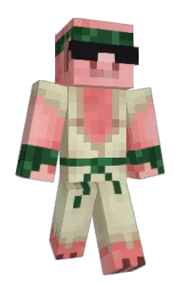 Front of Flattx's skin