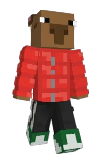 Front of Kotuson's skin