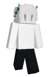 Front of Coolour's skin