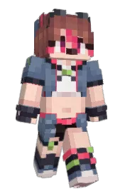 Skin preview