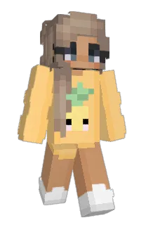 Front of Van's skin