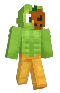 Front of z3r0se's skin