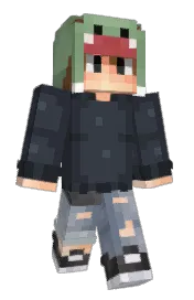 Skin preview
