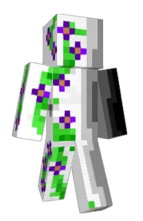 Front of DereMarco's skin