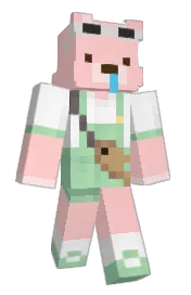 Skin preview