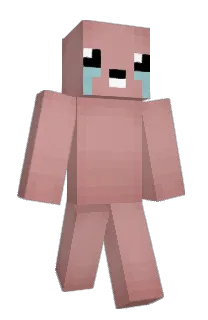 makianin's Minecraft skin