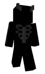 Back of Minecraft skin