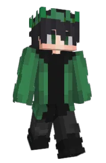Front of NivePlay's skin