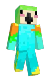 Skin preview