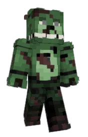 Skin preview