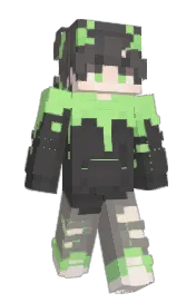 Skin preview