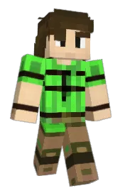 Skin preview