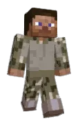 Aswh0le