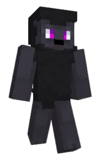 Front of REM_sheep's skin