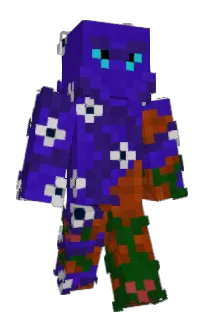 Front of NeMo262's skin