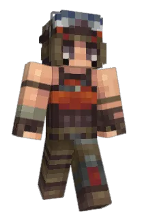 Front of Lozify's skin