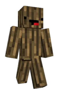 Front of catlib's skin