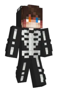 Front of Conectando's skin