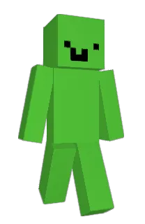 Front of Zei11i's skin