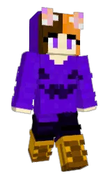 Minecraft skin — Classic model