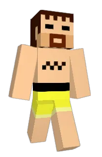 Front of tomamoto's skin