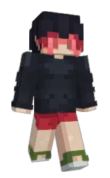 shark and charade Minecraft skin — Slim model — first worn by _CrazyWords_