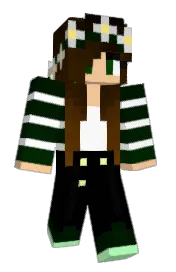 Skin preview